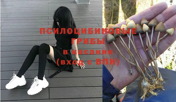 мескалин Яровое