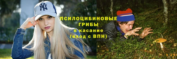 гашик Янаул